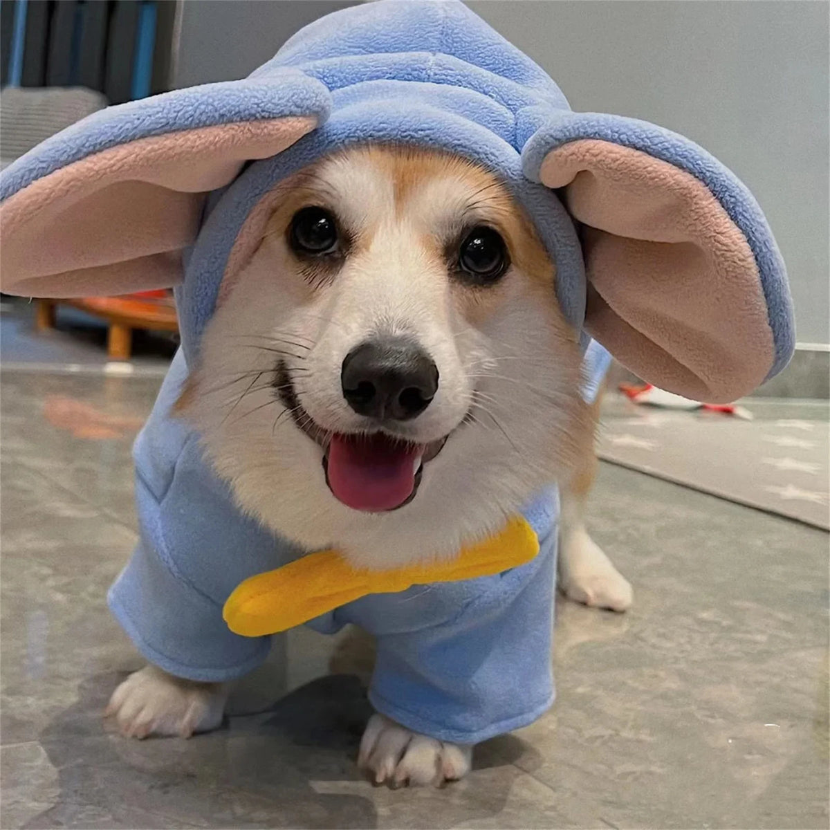 Dog Elephant Costume, photo 3