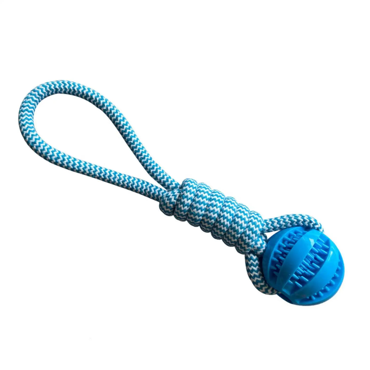 Dog Leaking Food Ball in Blue