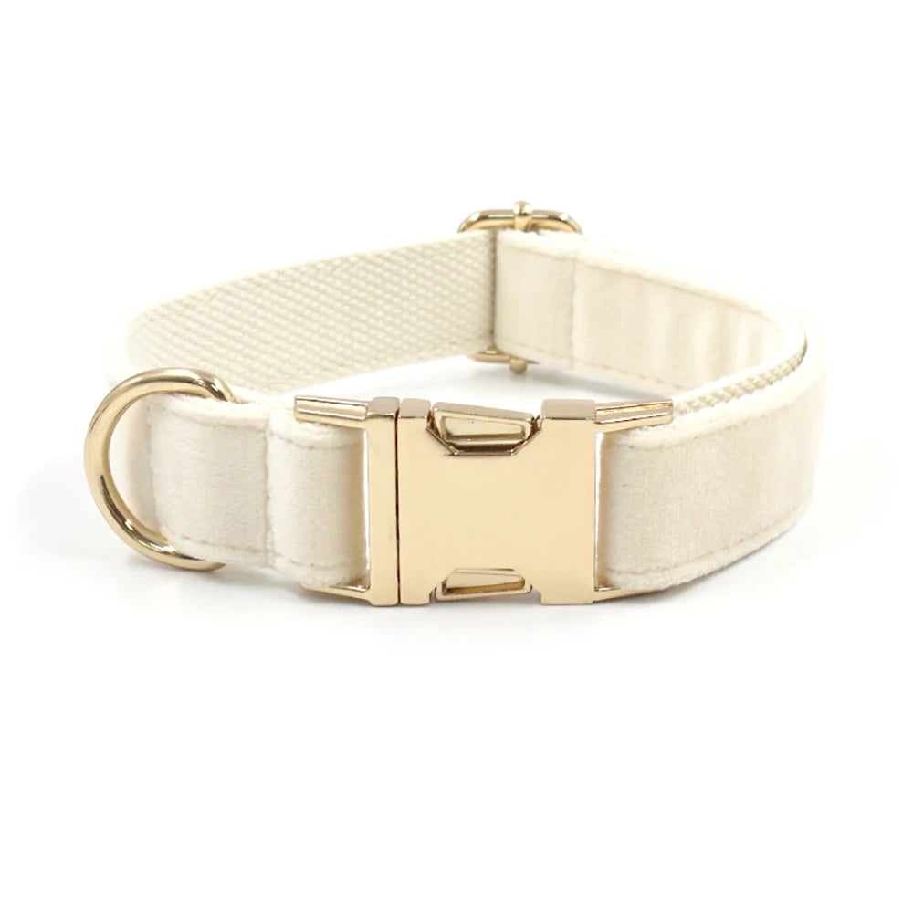 Personalized Cute Dog Collar in Collar Cream