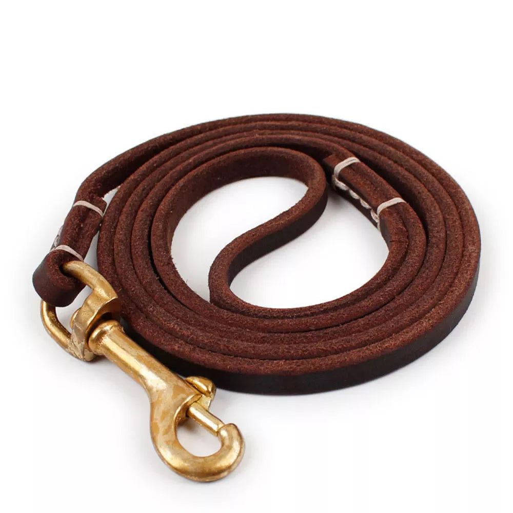Leather Dog Leash in Brown