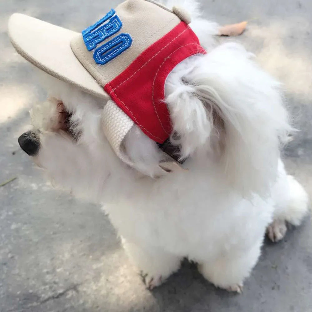 Dog Baseball Hat