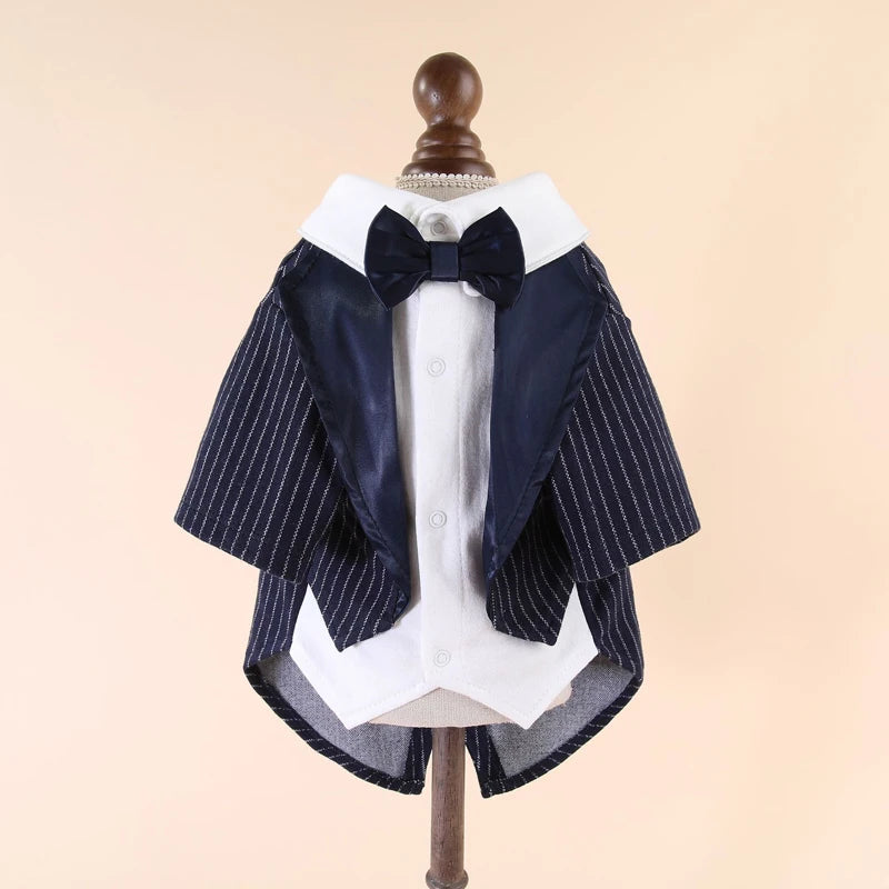 Dog Tuxedos in Blue