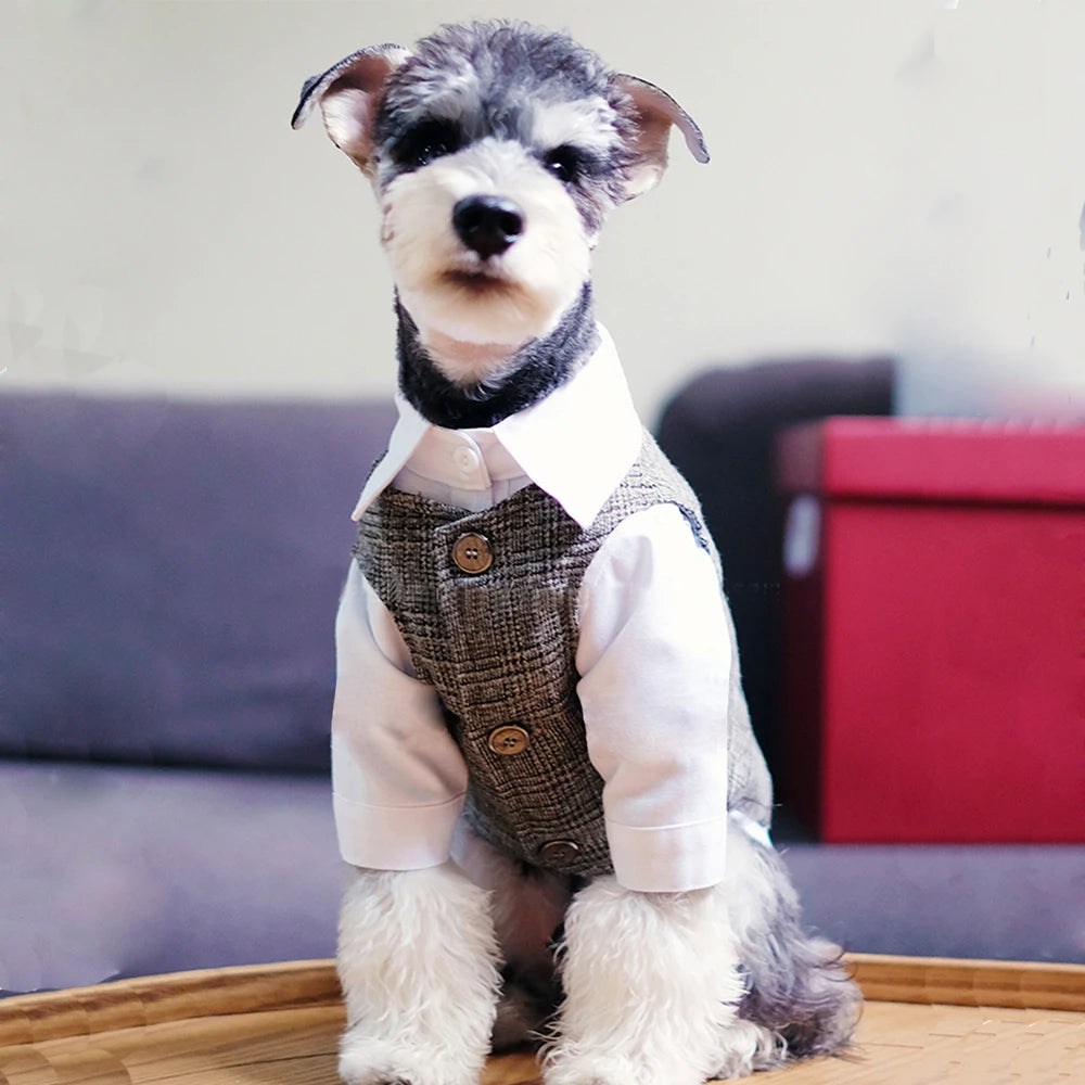 Dog Clothes Wedding