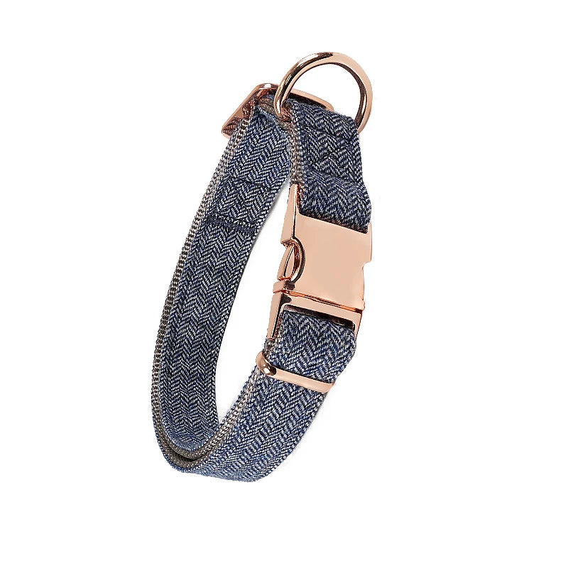 Metal Buckle Dog Collar in Blue