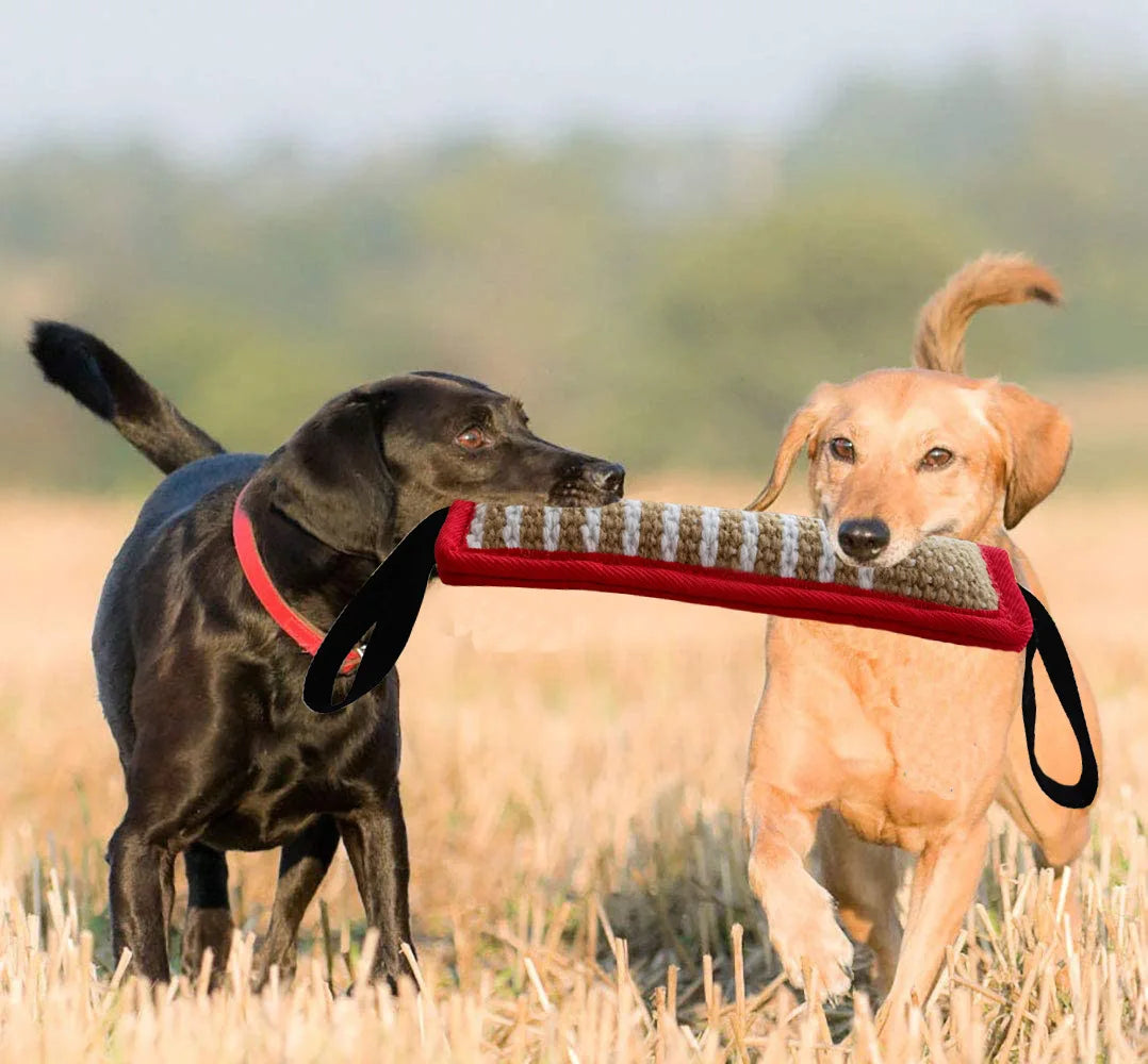 Dog Training Tug Toy
