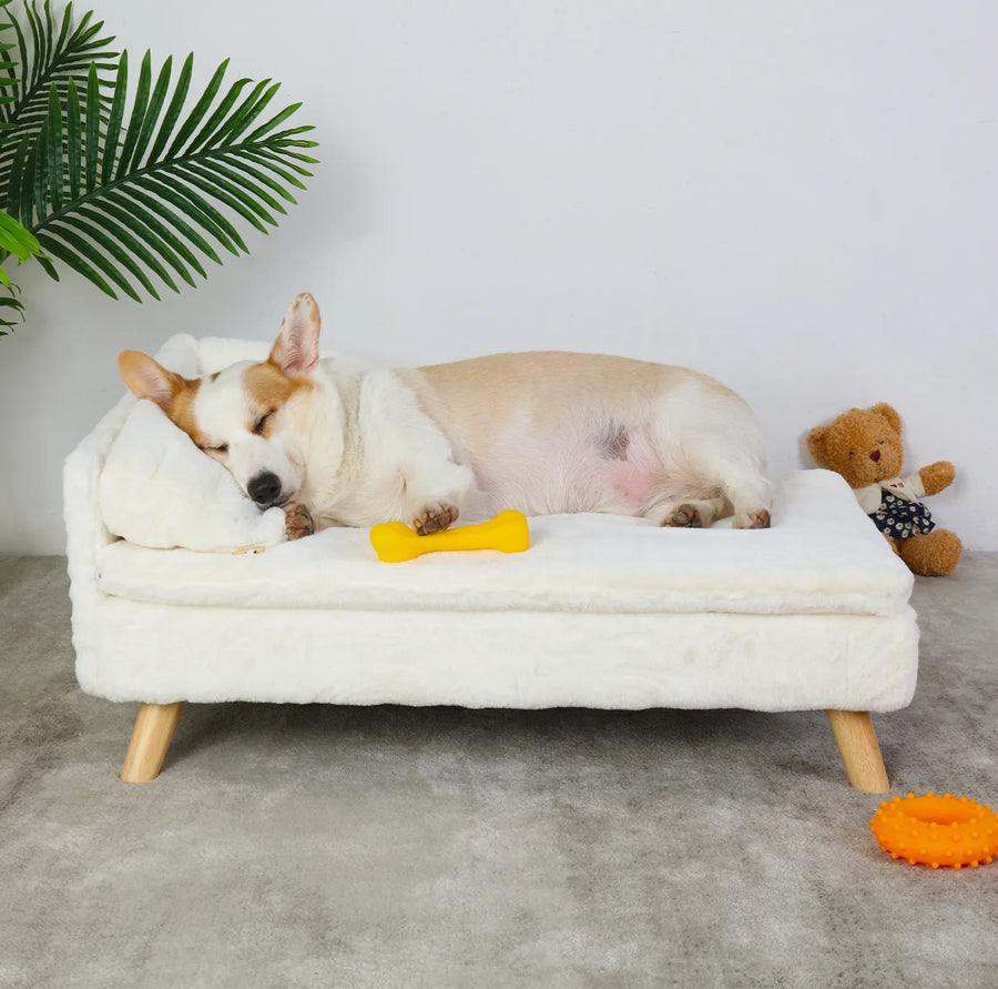 A combination of dog couch and dog bed