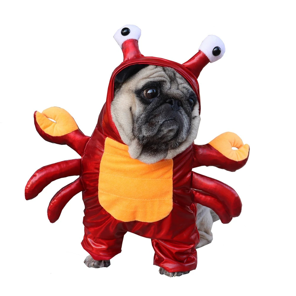 Dog Crab Costume in Red