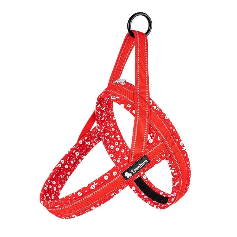 Floral Dog Harness in Poinsettia