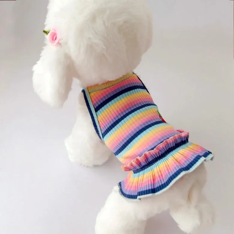 Dog Dog Dress in Blue
