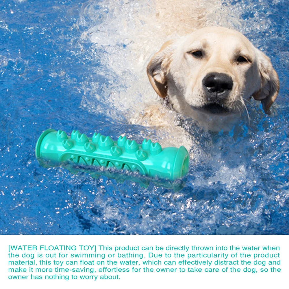 Best Chew Toys For Dogs