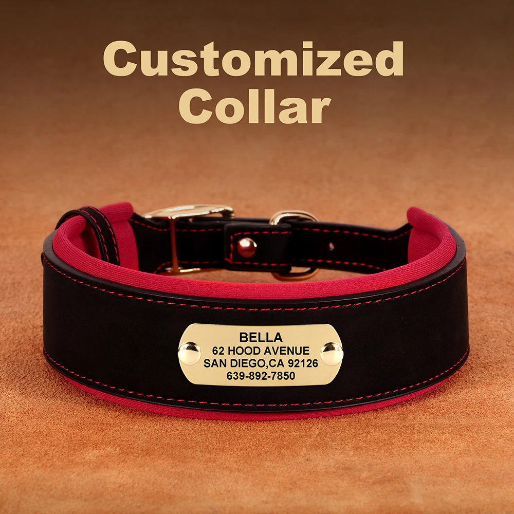 Personalized Dog Collar in Laser Engrave 1