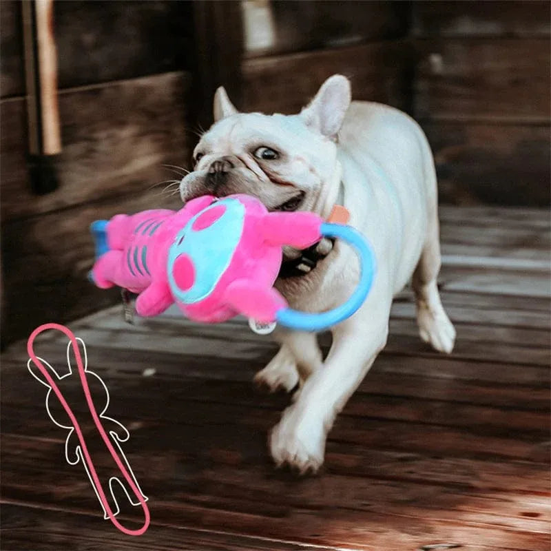Dog Pull Toy