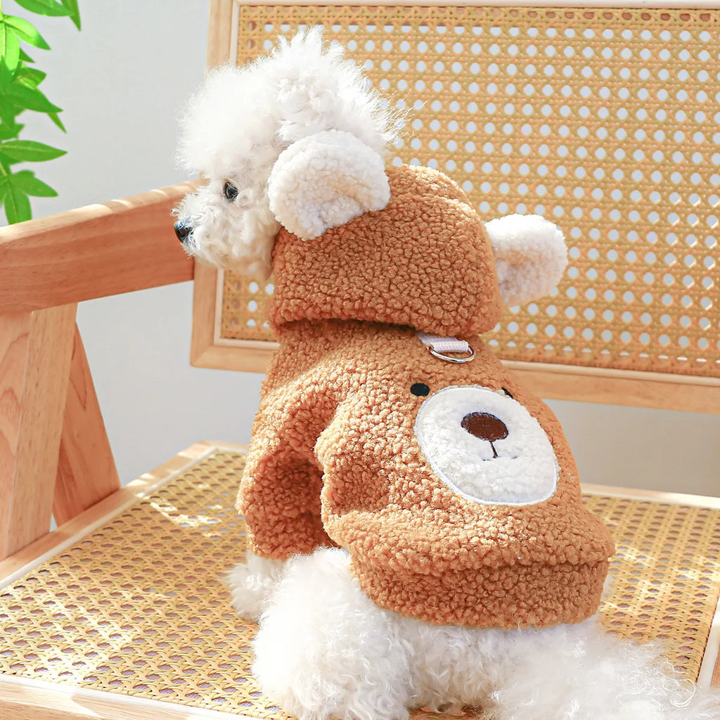 Teddy Bear Hoodie in Brown