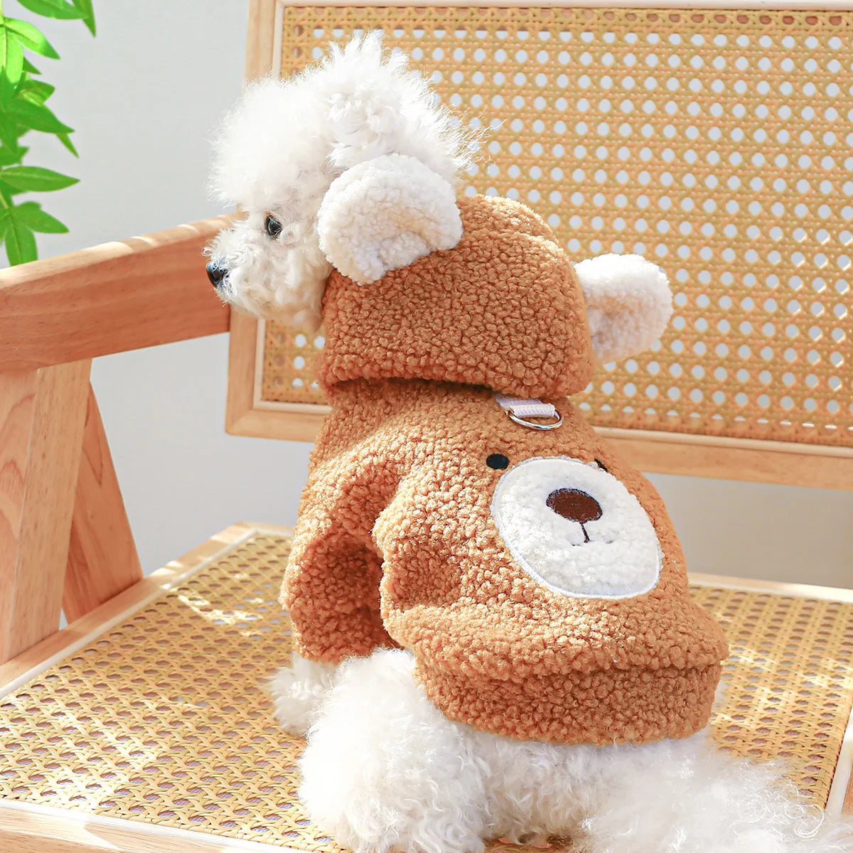 Teddy Bear Hoodie in Brown
