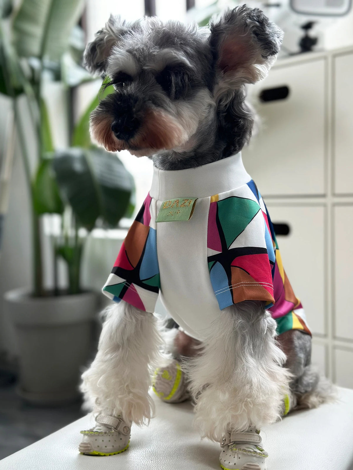 Small Dog T Shirts, photo 3