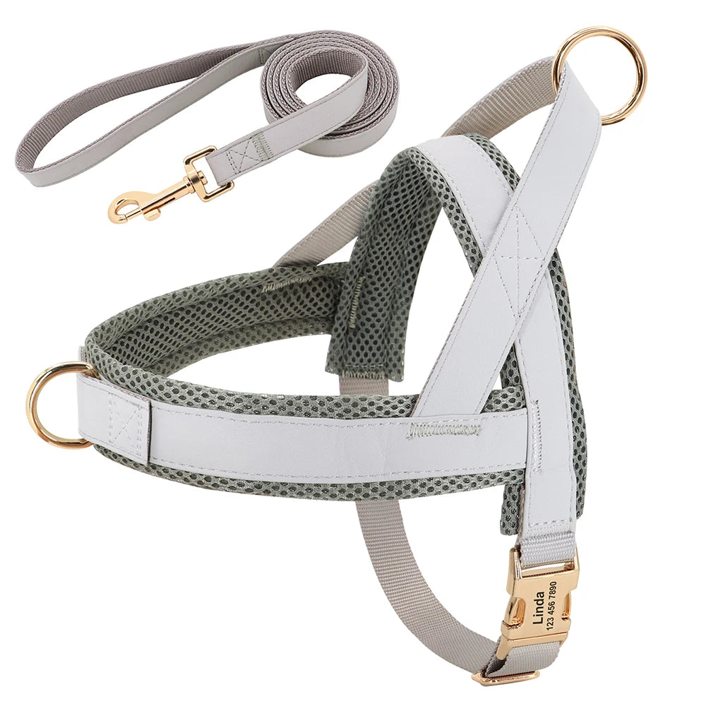 Personalized No Pull Dog Harness in Gray (Harness & Leash)