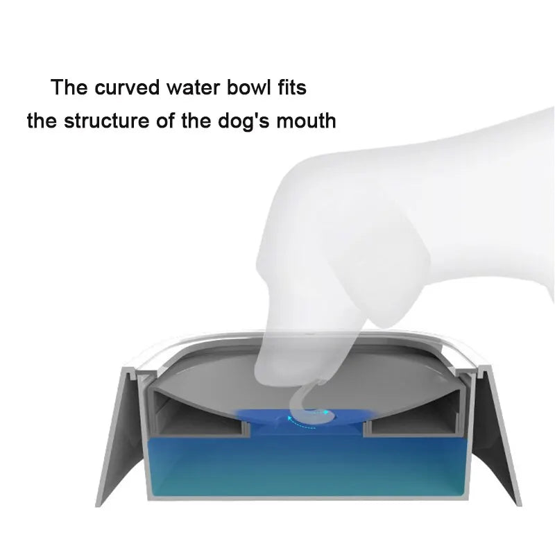 Dog Water Bowls