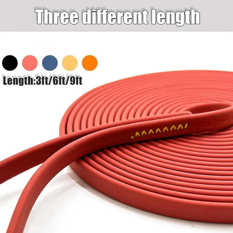 Dog Long Leash, photo 2
