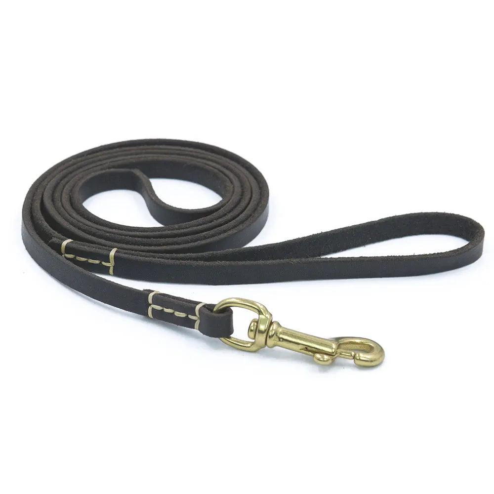 Leather Dog Leash in Black