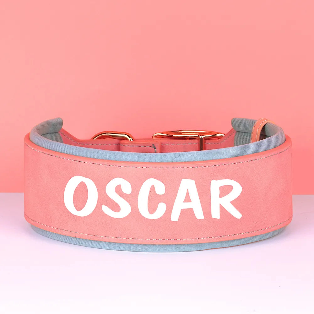 Personalized Dog Collar With Name in Printed 3