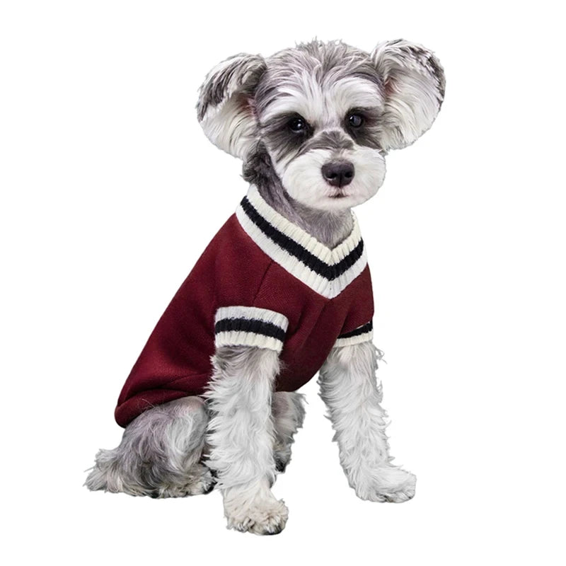 Dog Sweater Dog in Red