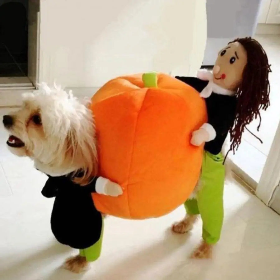 Made from high-quality cotton, the Pumpkin Dog Costume is comfortable, soft, and ensures your furry friend's ultimate cosplaying experience.