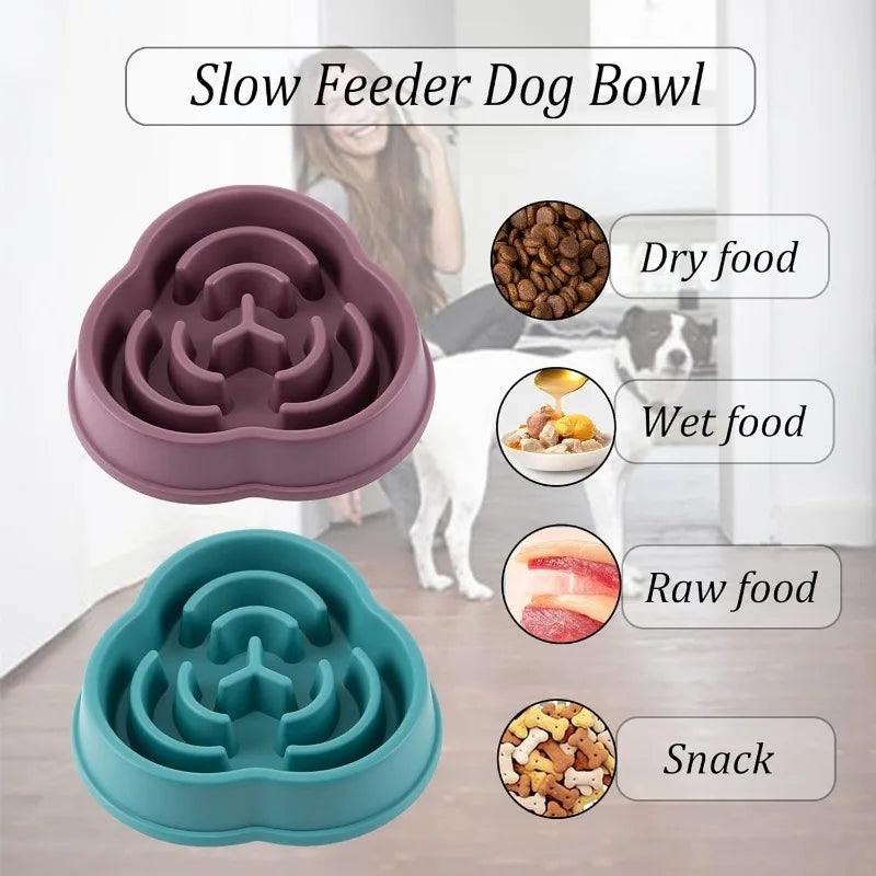 Slow Feed Bowls For Dogs