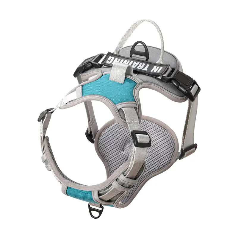 Personalized Dog Harness No Pull in Cyan Blue Gray