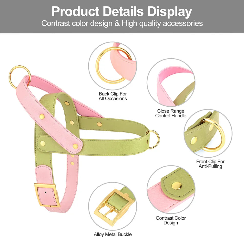 Leather Dog Harness
