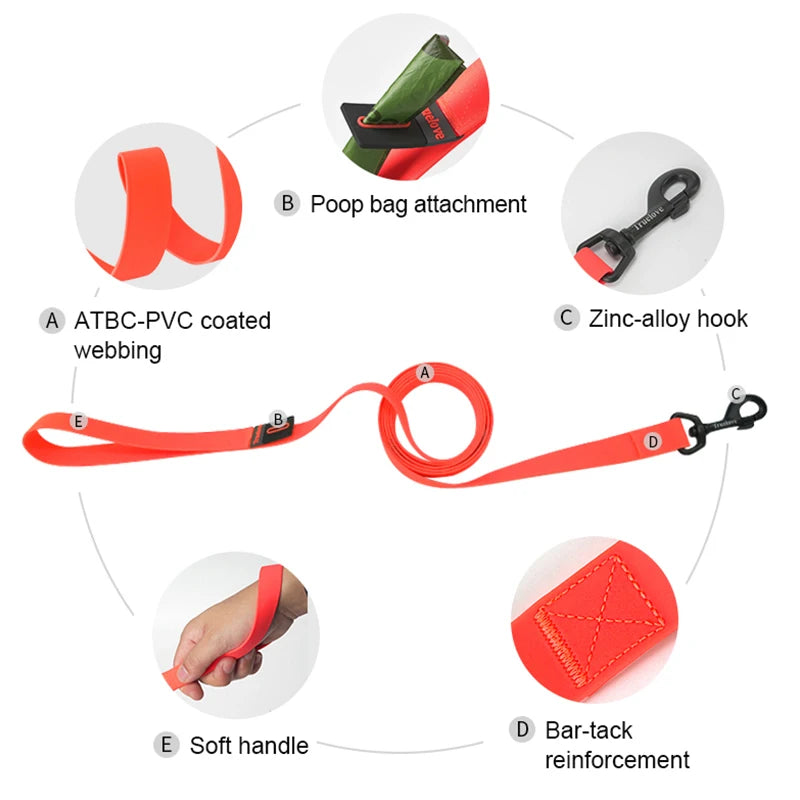 Neon Color Dog Leash