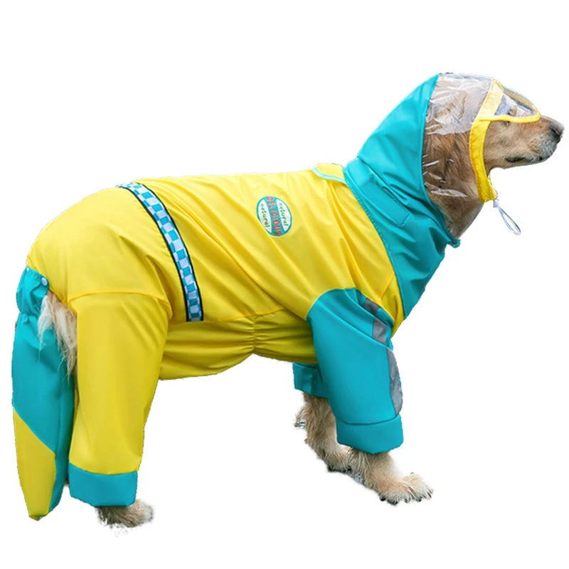 Dinosaur Dog Raincoat in Blue yellow