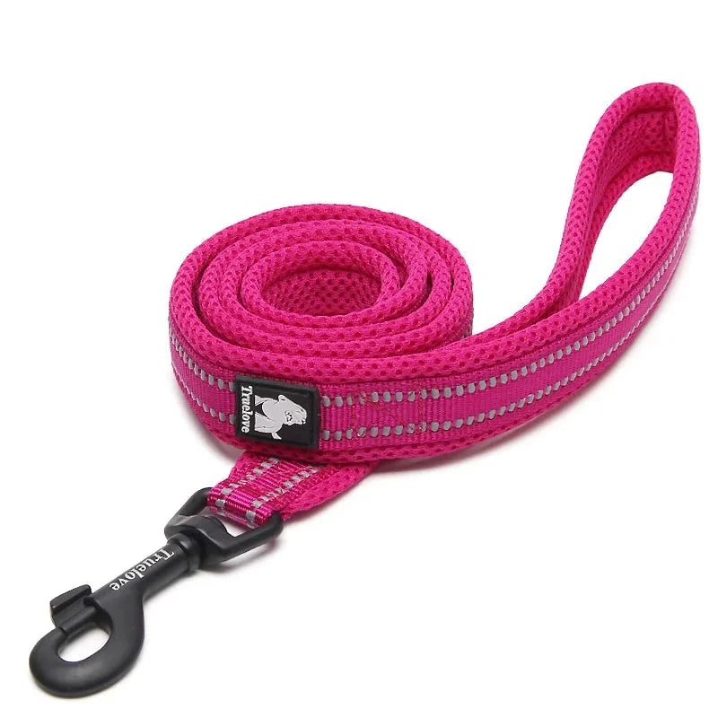 Reflective Dog Leash in Fuchsia