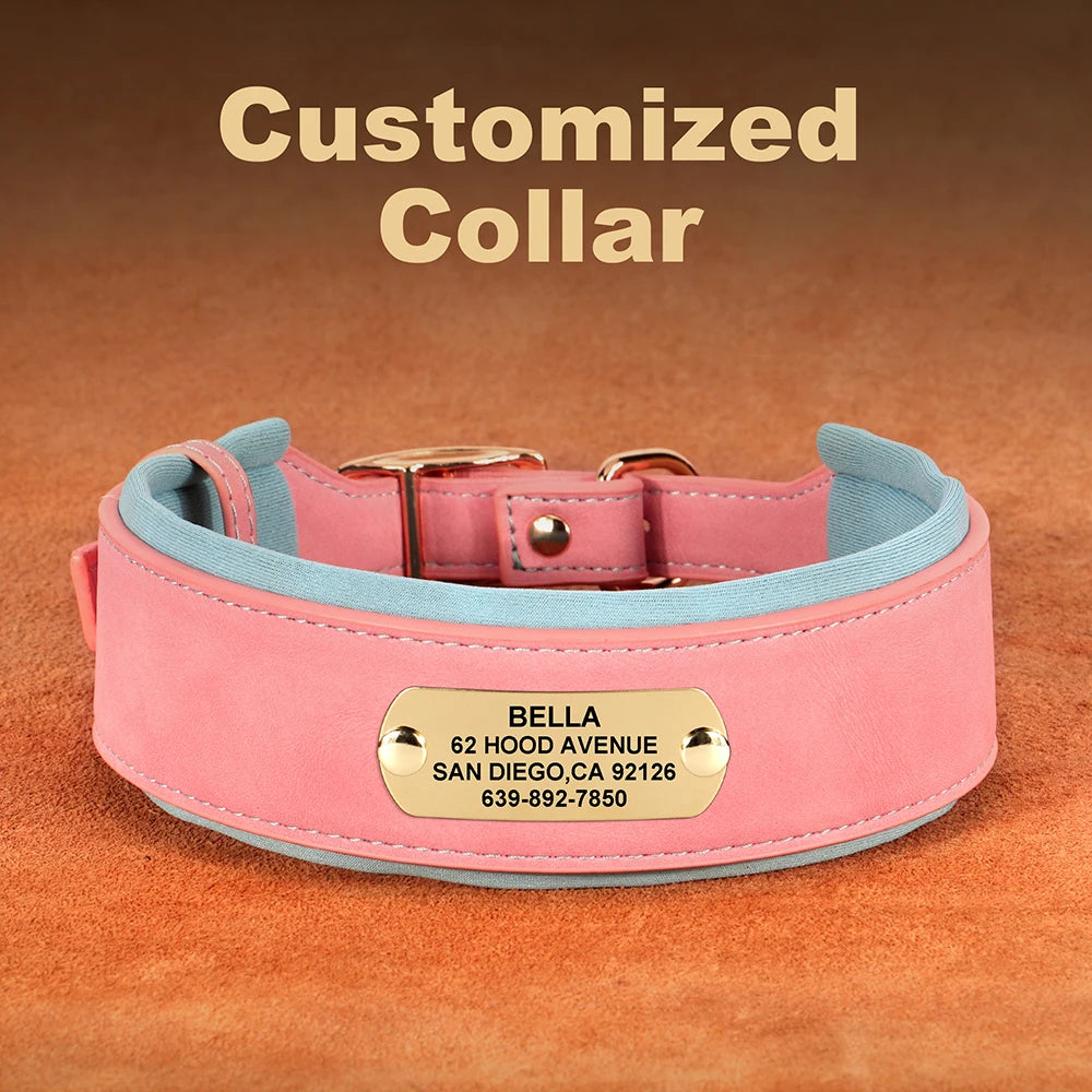 Personalized Dog Collar in Laser Engrave 3