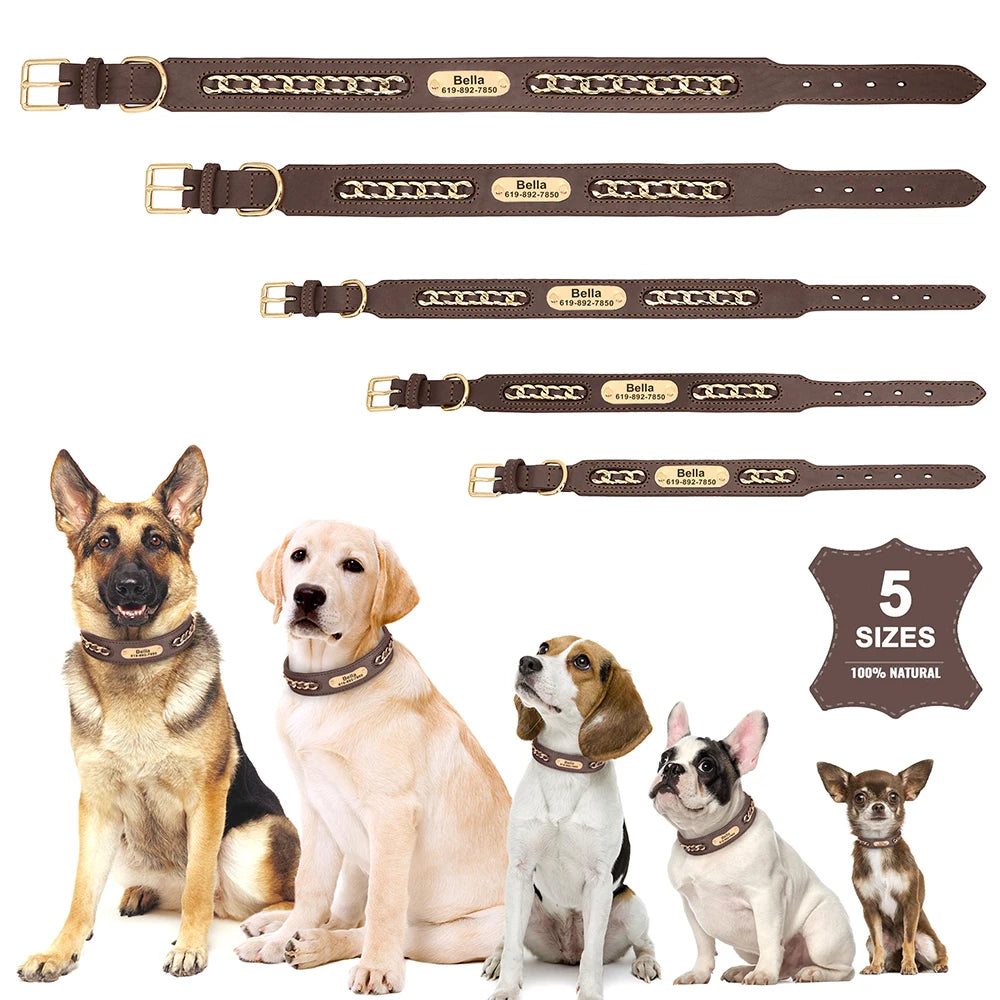Customized Dog Collar