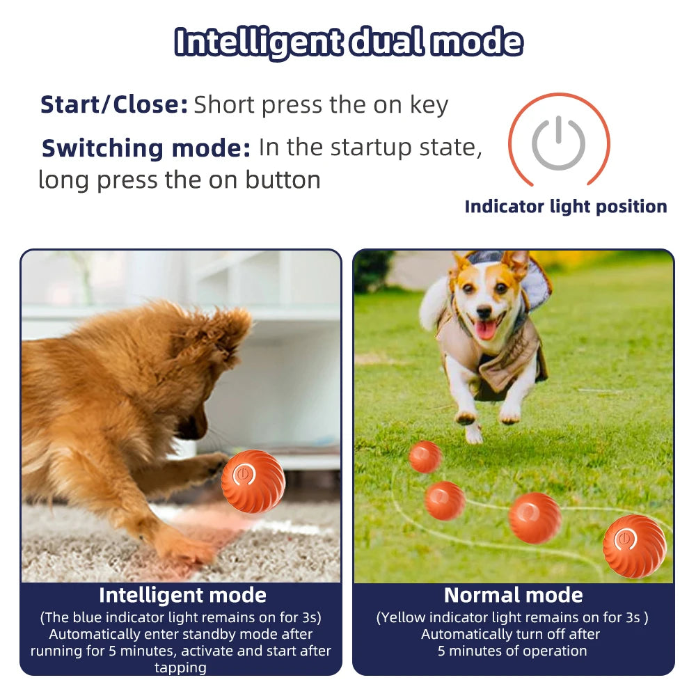 Dog Smart Ball