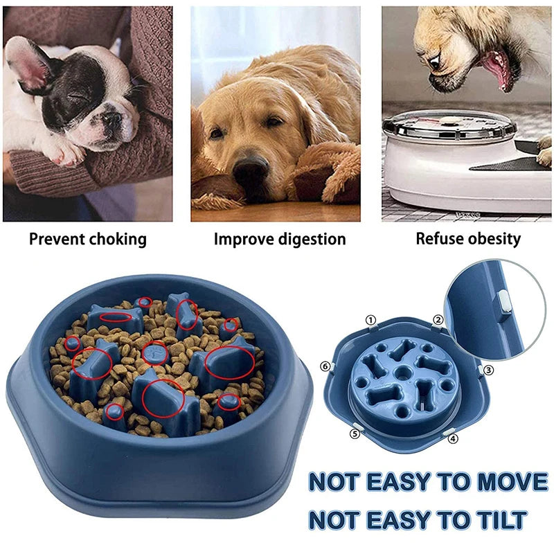 Slow Feed Dog Bowl For Small Dogs