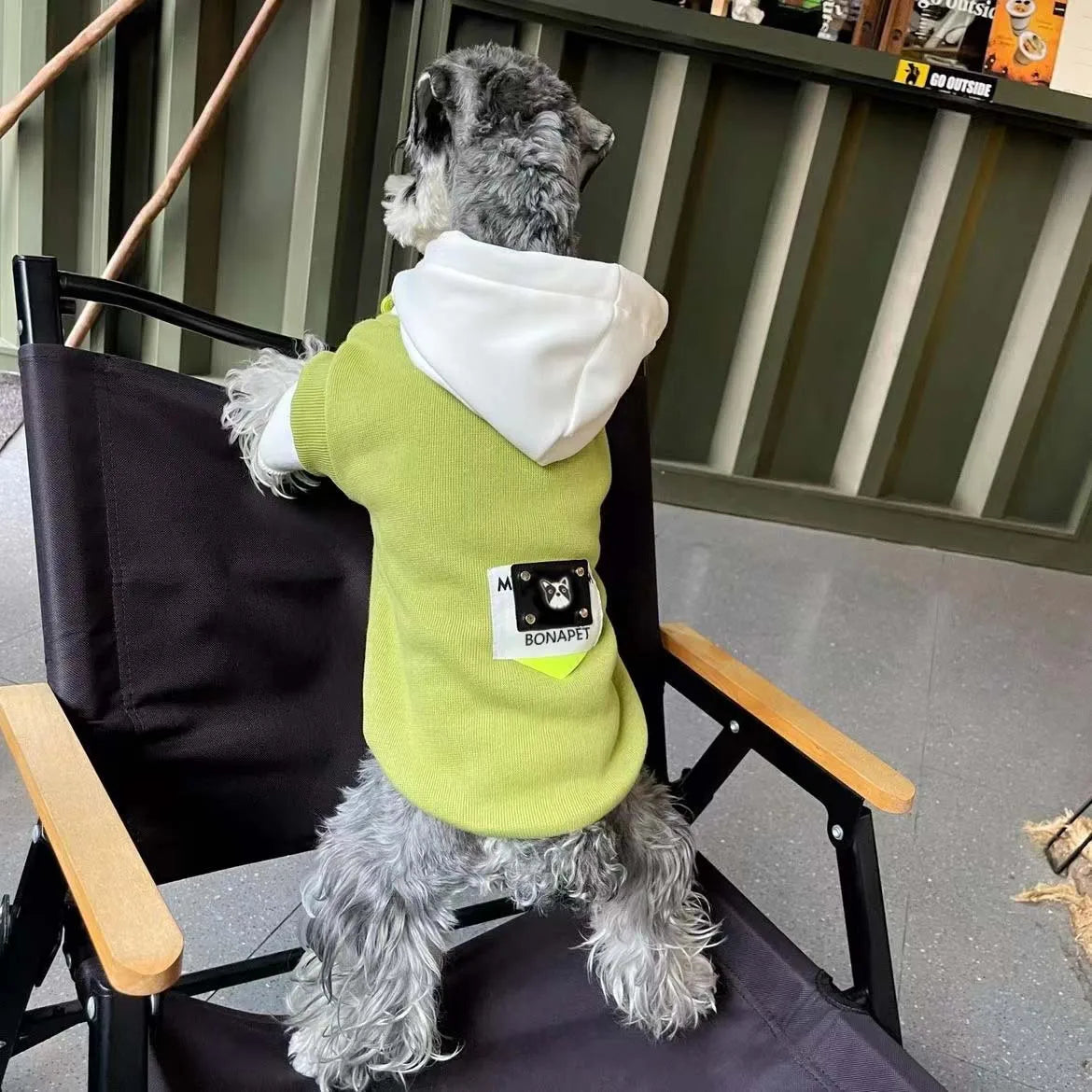 Dog Hoodie