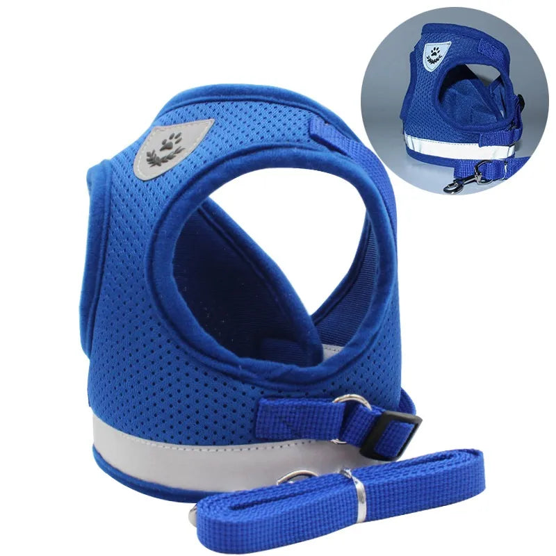 Blue Dog Harness, photo 10