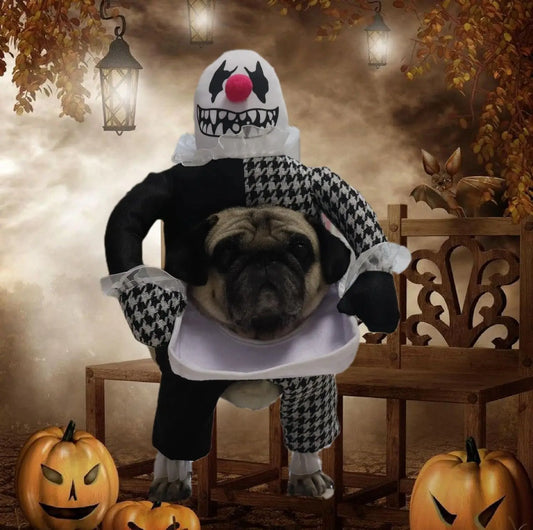 Small Dog Halloween Costumes