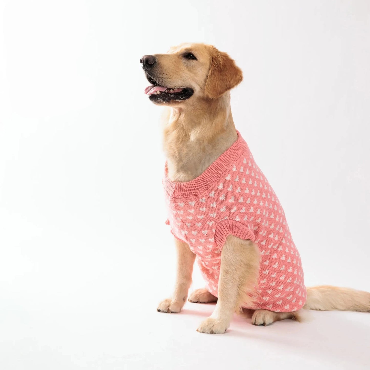 Knitted Dog Sweater