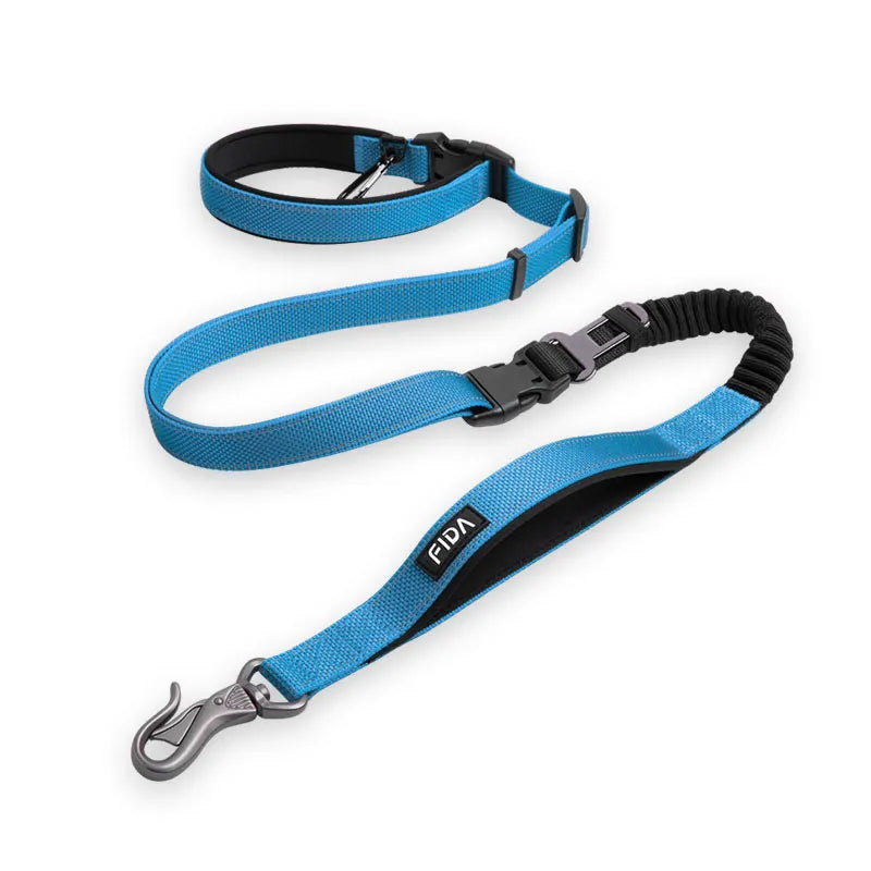 Adjustable Dog Leash in Blue
