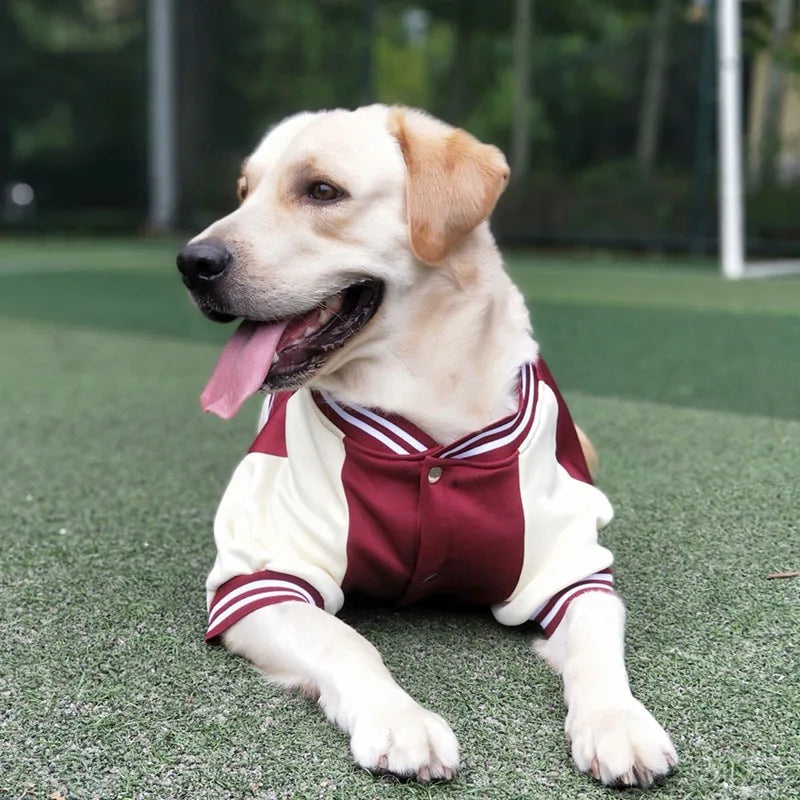 Dog Baseball Shirt