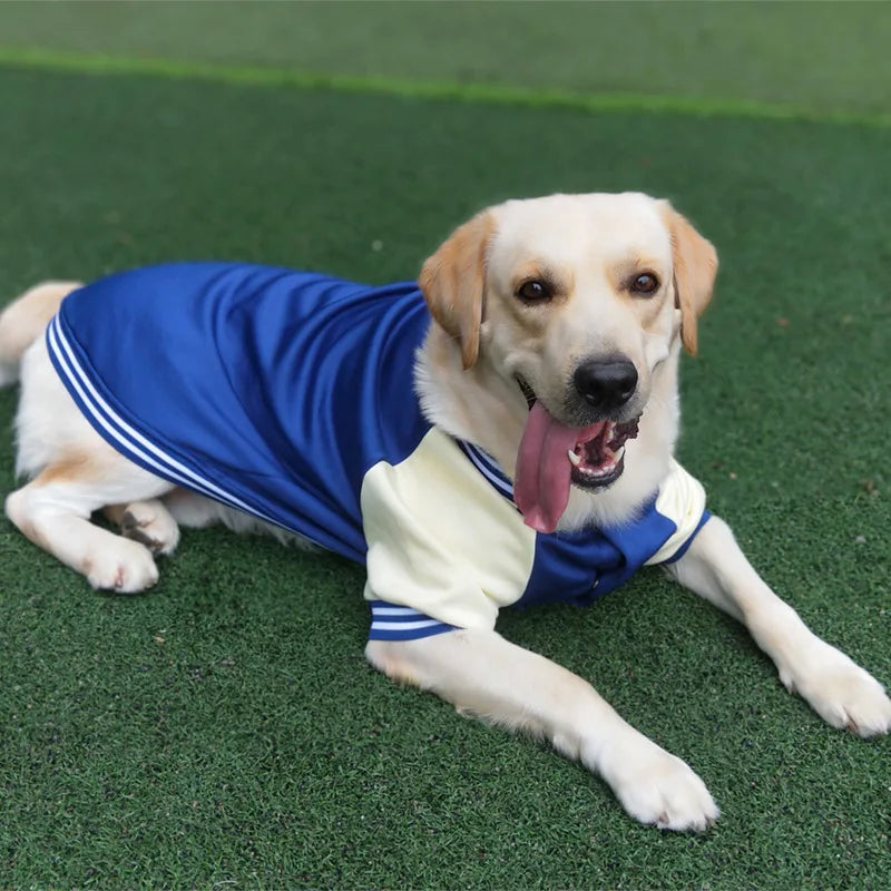 Dog Baseball Shirt in Blue