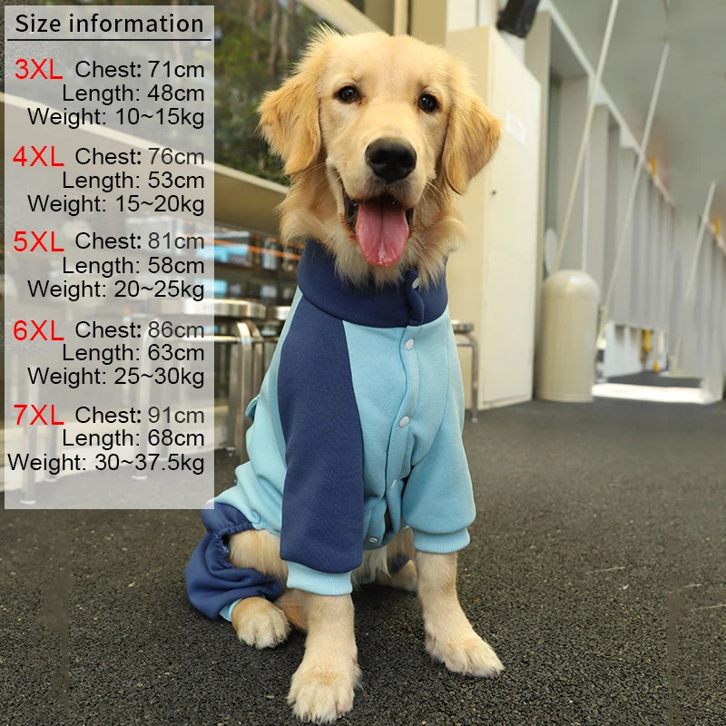 Winter Dog Coats in Blue