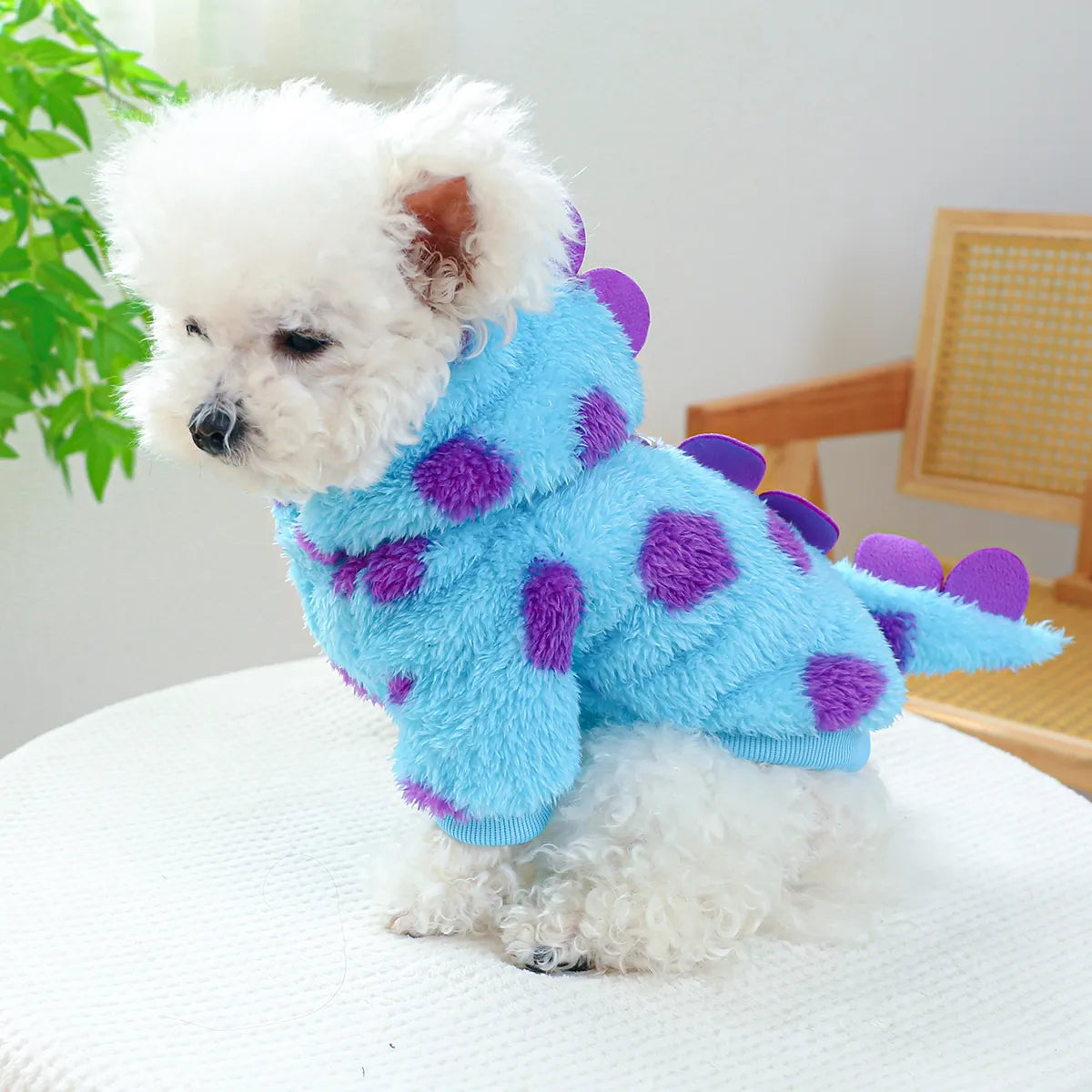 Dog Dinosaur Hoodie