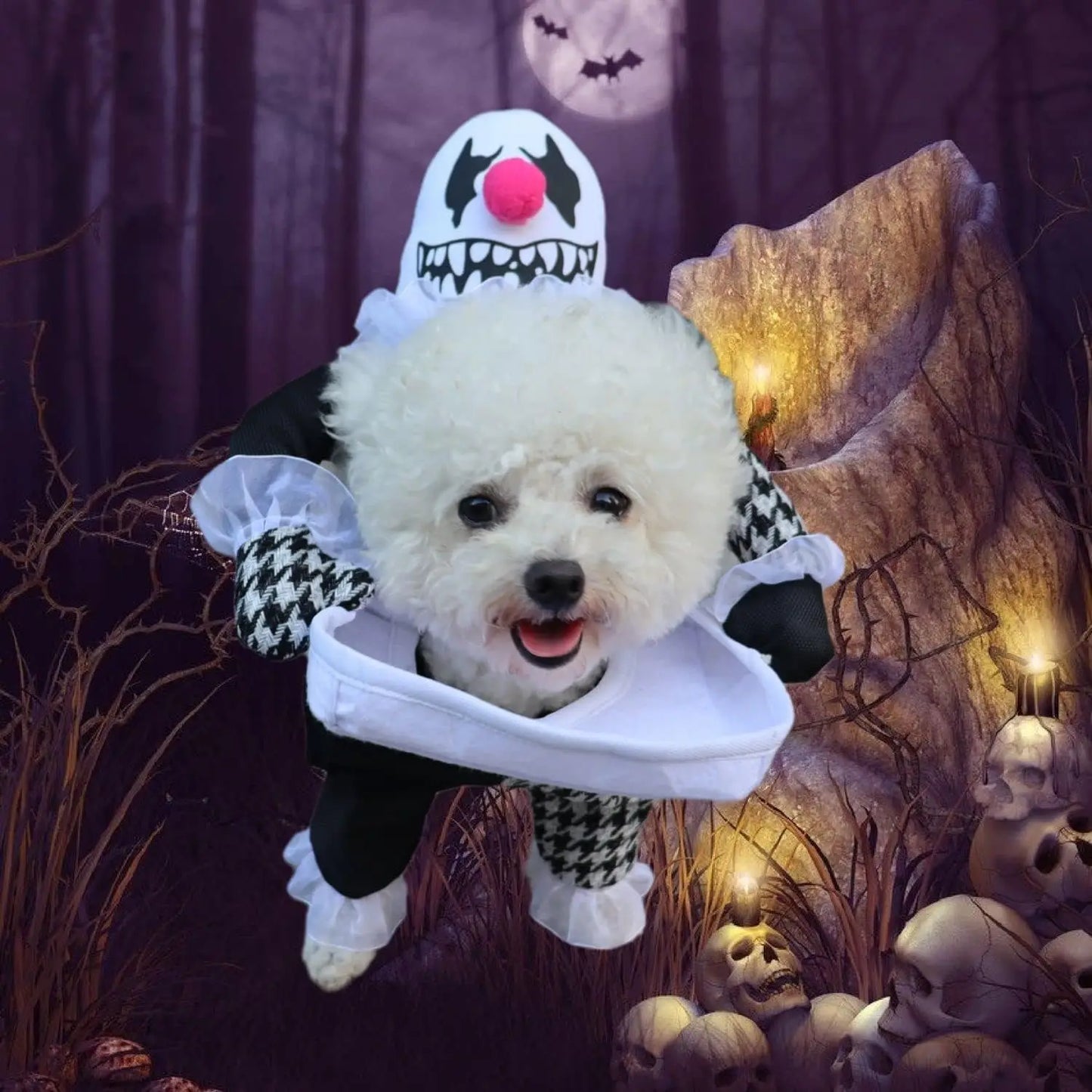 Small Dog Halloween Costumes