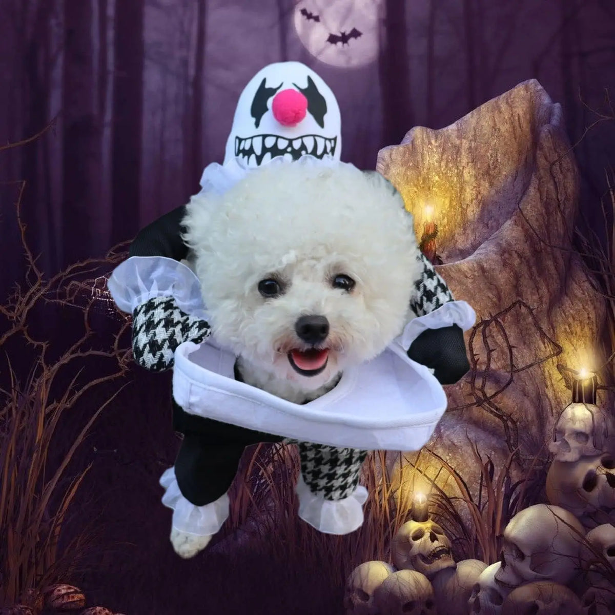 Small Dog Halloween Costumes, photo 3