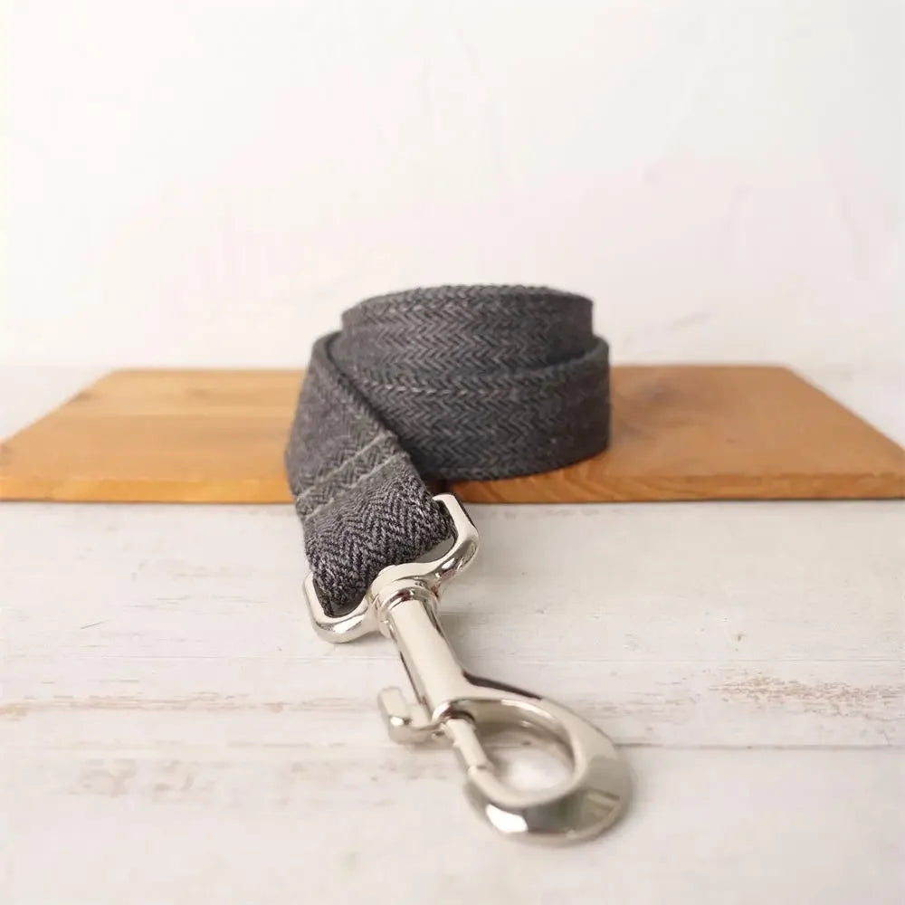 Personalized Buckle Dog Collar in Blue Leash