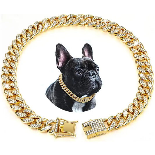 Gold Dog Chain Collar