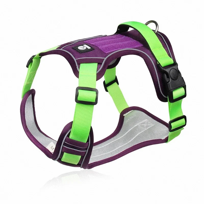 Dog Training Harness in Green